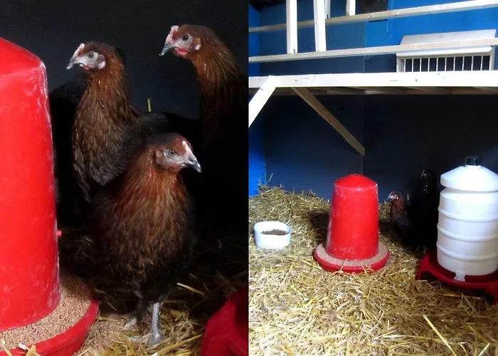 Panzió Wiener Gaeste Bécs
